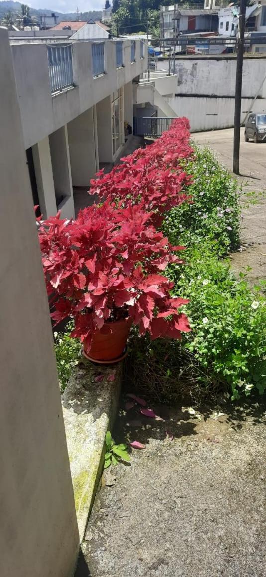 M3 Homes Munnar Esterno foto