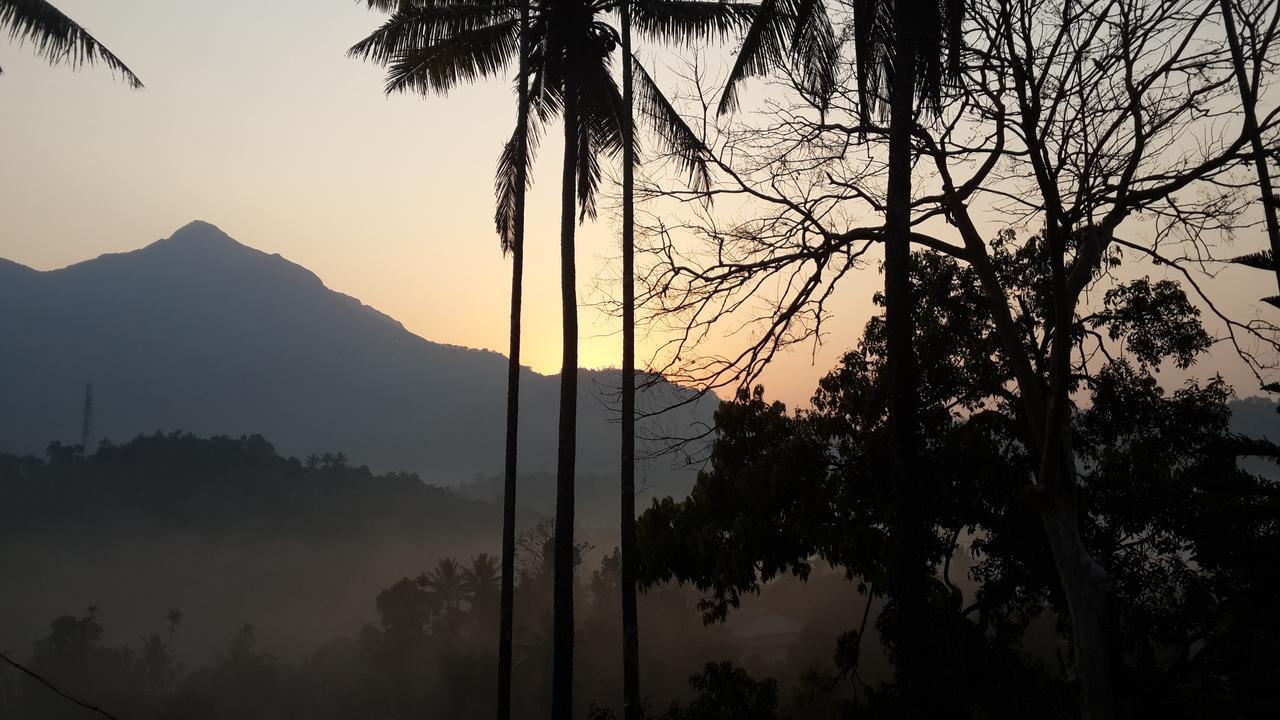 M3 Homes Munnar Esterno foto
