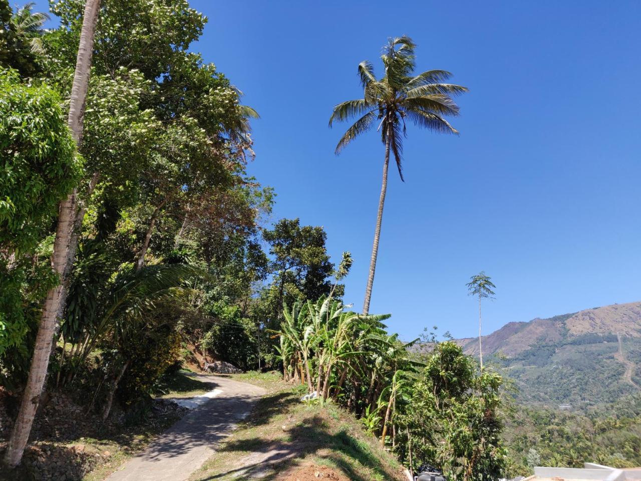 M3 Homes Munnar Esterno foto